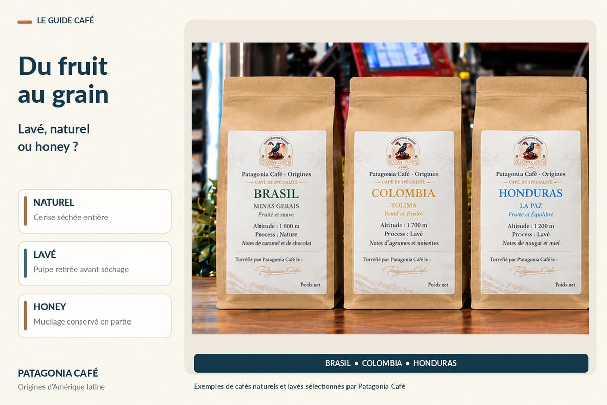 Trois cafés de spécialité Patagonia Café du Brésil, de Colombie et du Honduras avec explication des procédés lavé, naturel et honey